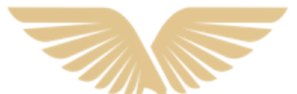 Pioneera Ventures